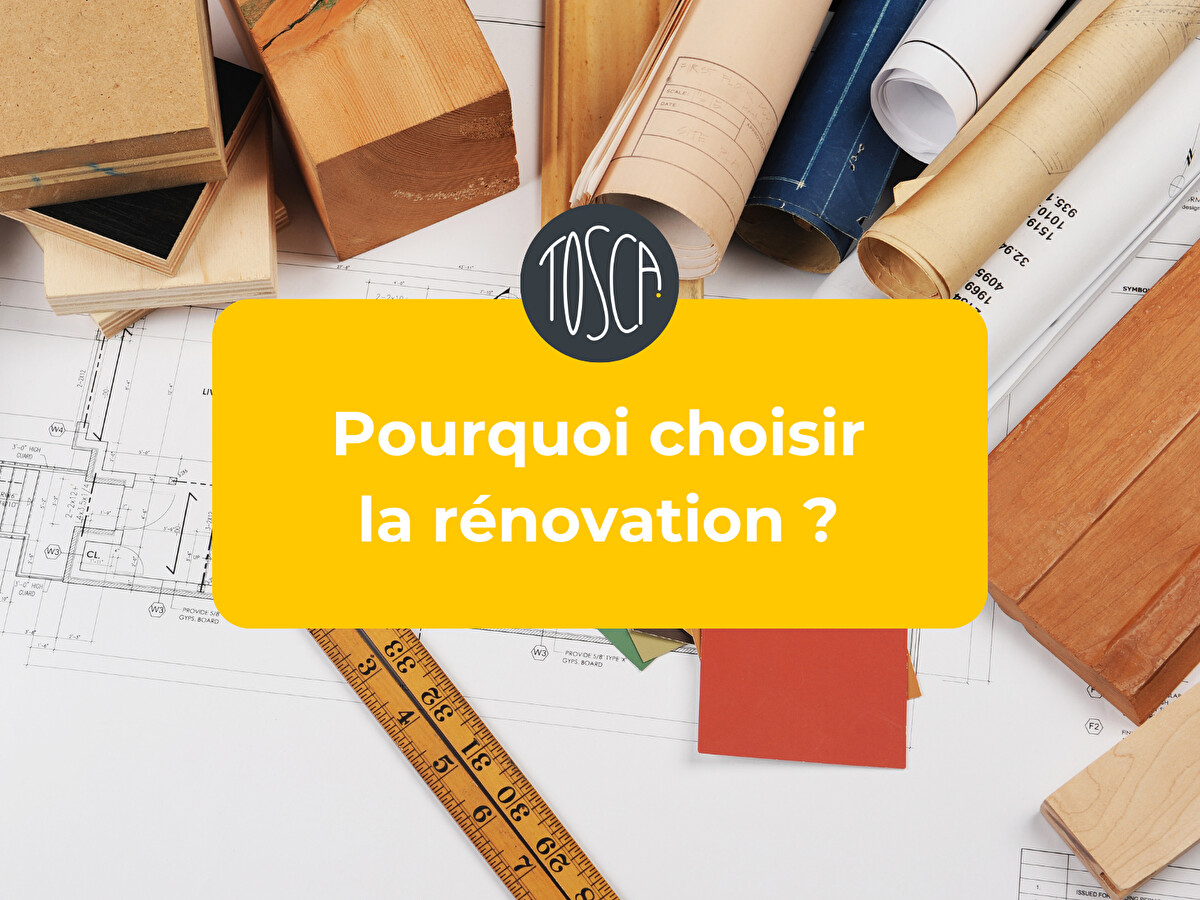 Pourquoi choisir la rénovation?